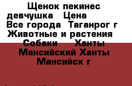 Щенок пекинес девчушка › Цена ­ 2 500 - Все города, Таганрог г. Животные и растения » Собаки   . Ханты-Мансийский,Ханты-Мансийск г.